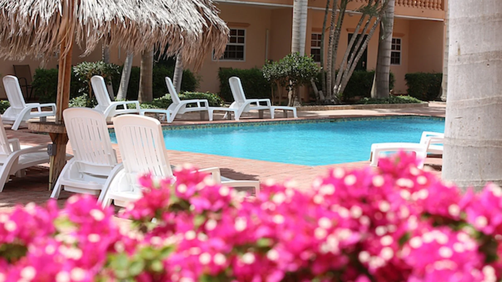 Shared pool at Punto di Oro Apartments