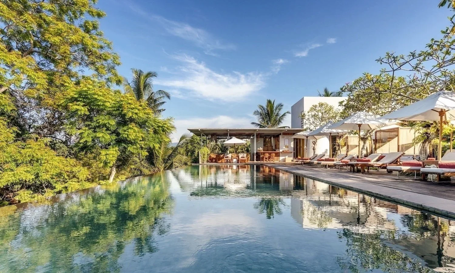 Pool and surrounding vegetation at Bisma Eight