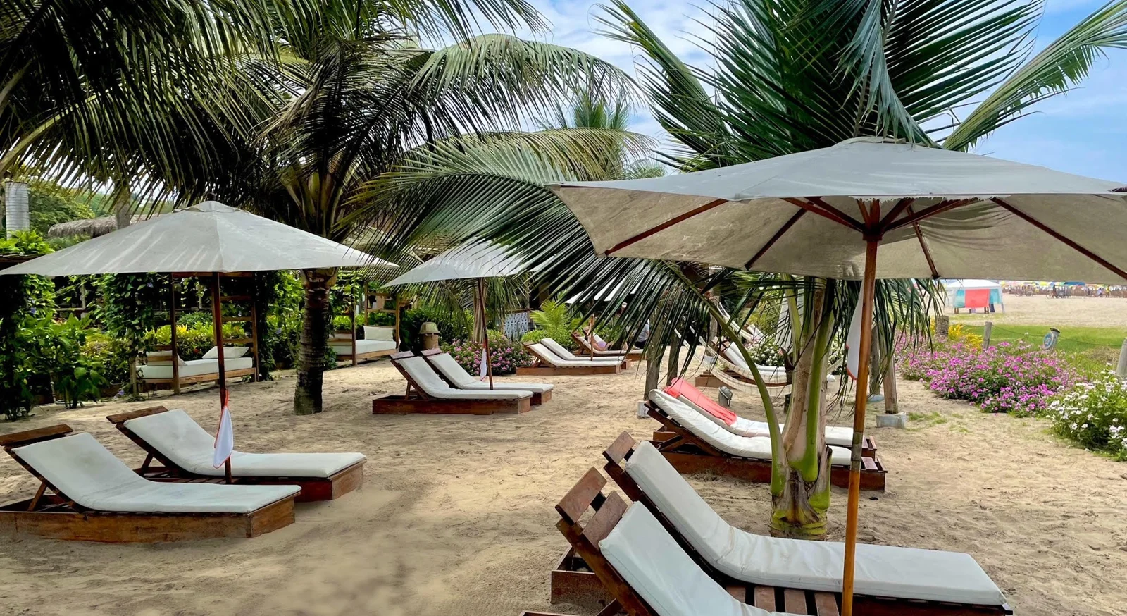 Beachfront garden at Hotel Kundalini