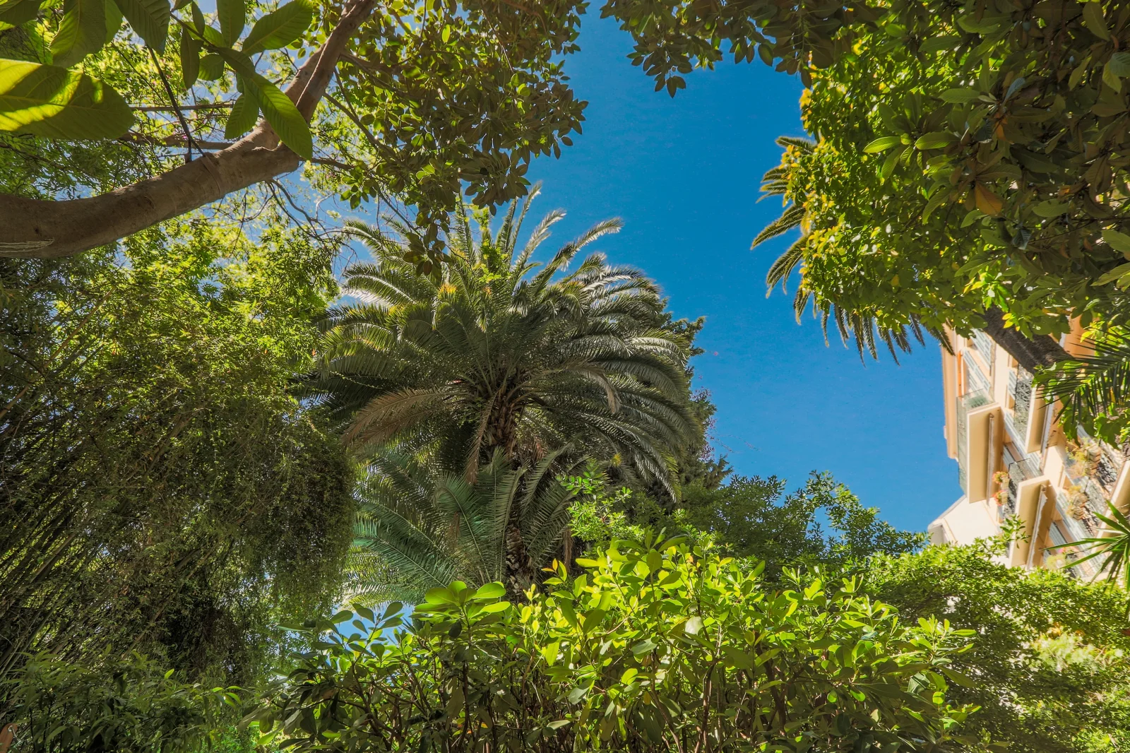 Leafy garden at Hôtel WindsoR in Nice