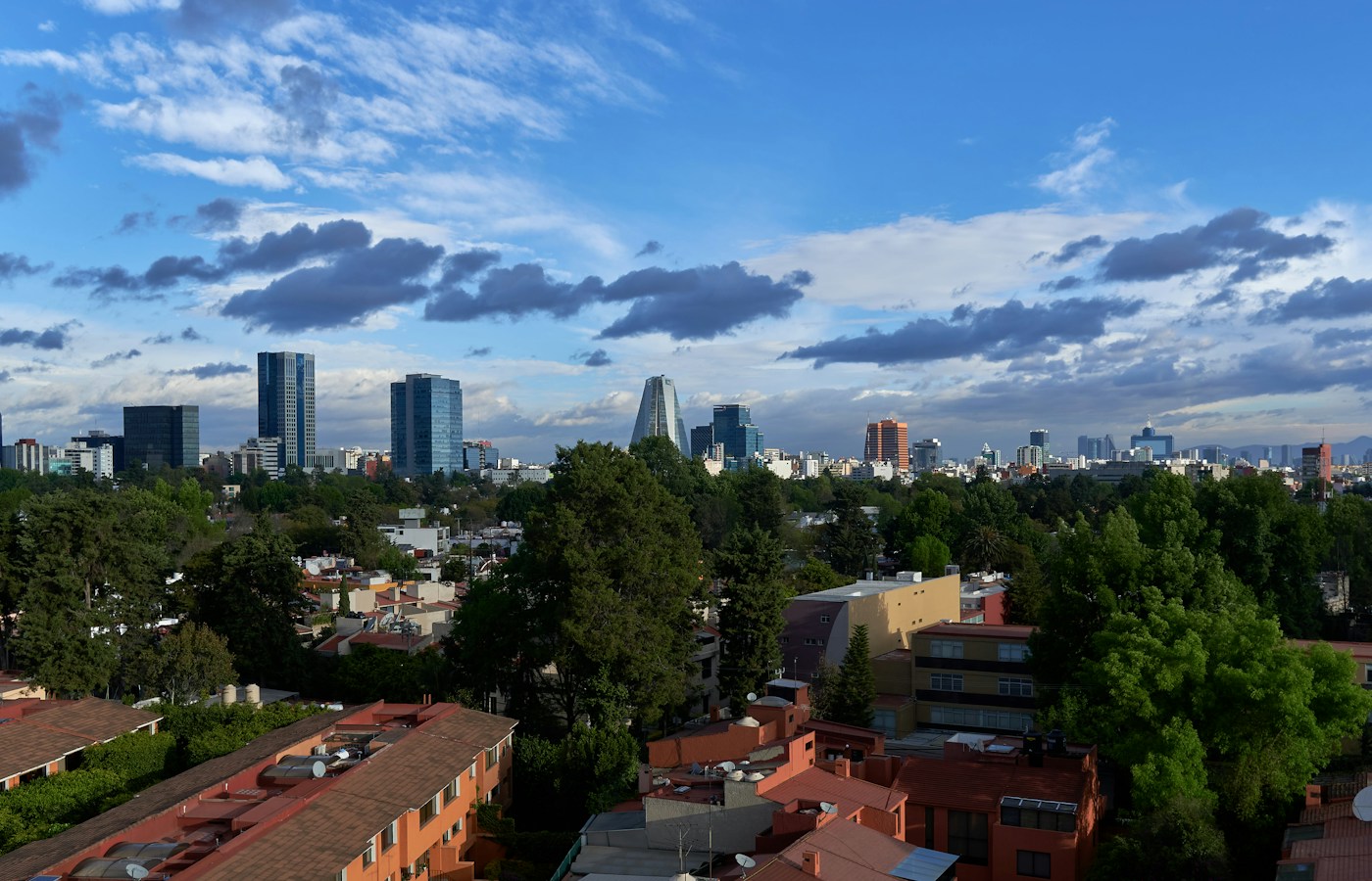 Tree-lined rooftops in Coyoacán with Mexico City buildings beneath a blue sky